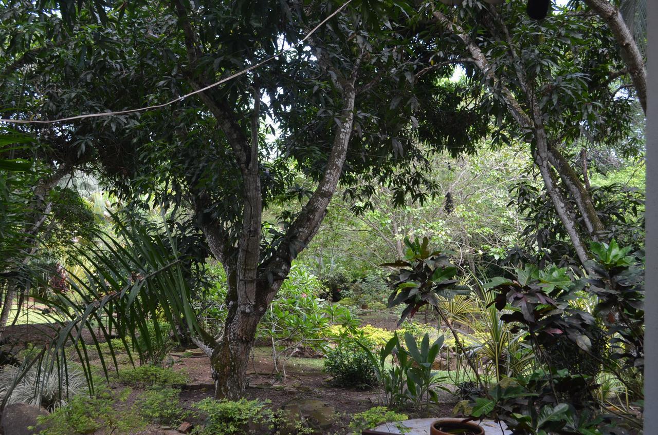 Amanwana Ecofinca Hotel Melgar Exterior photo