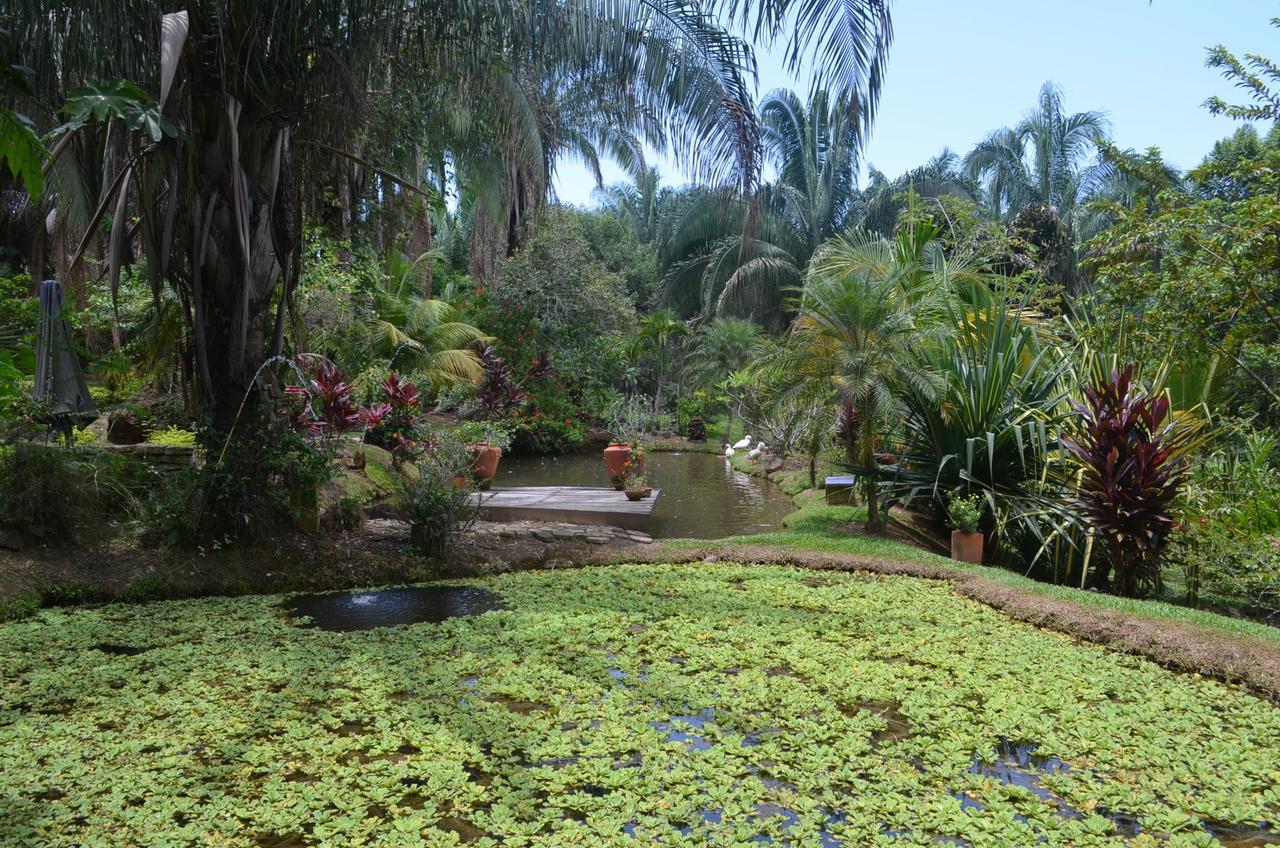 Amanwana Ecofinca Hotel Melgar Exterior photo