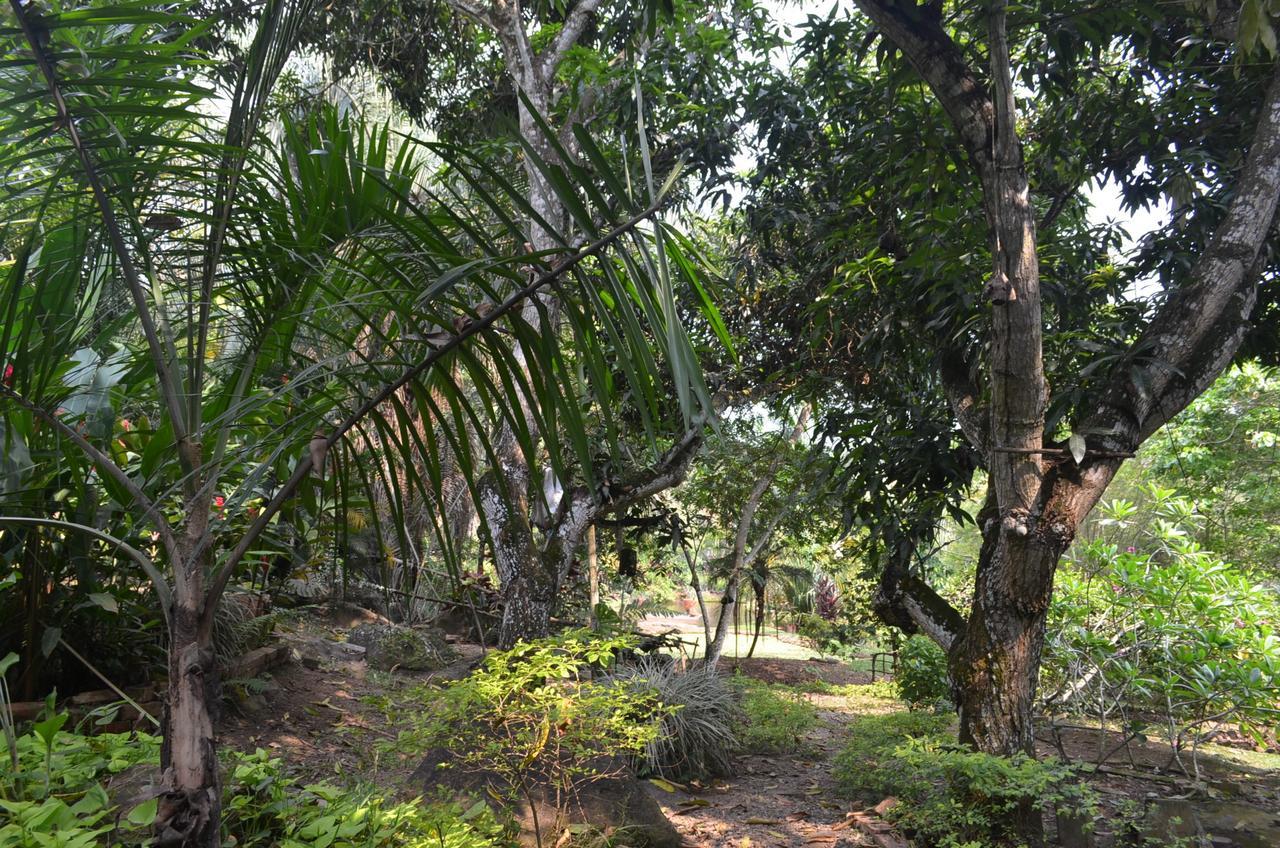 Amanwana Ecofinca Hotel Melgar Exterior photo