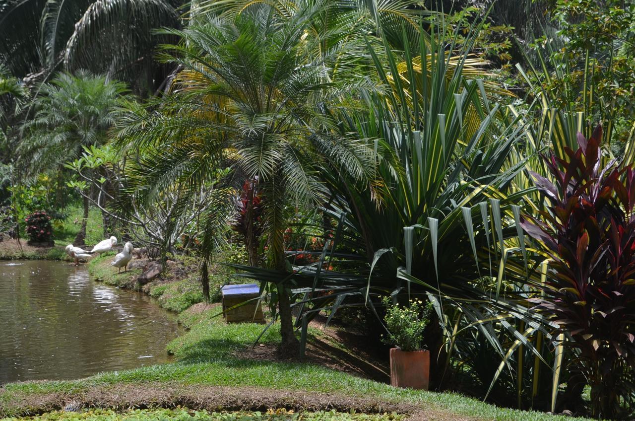 Amanwana Ecofinca Hotel Melgar Exterior photo