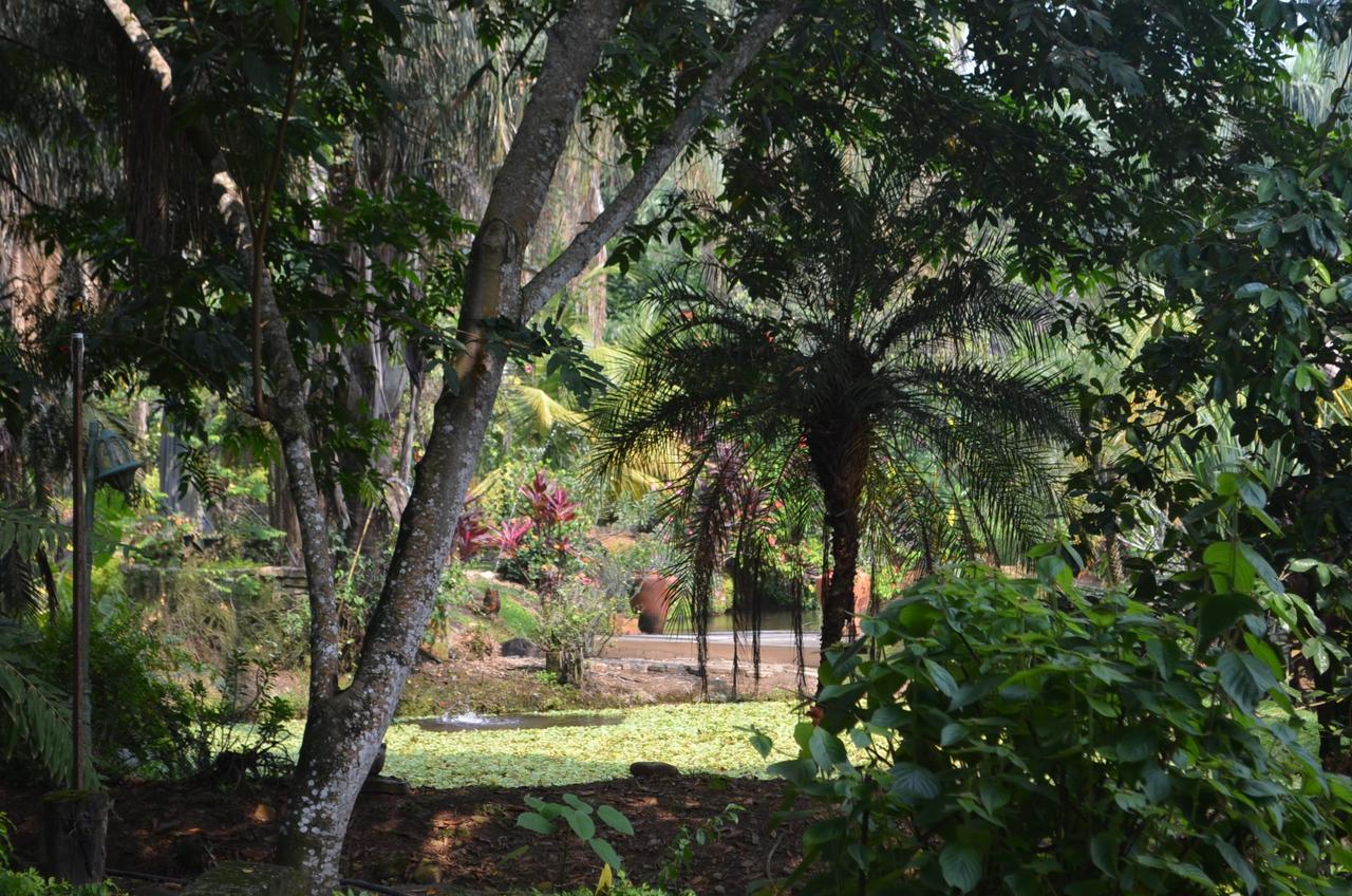 Amanwana Ecofinca Hotel Melgar Exterior photo