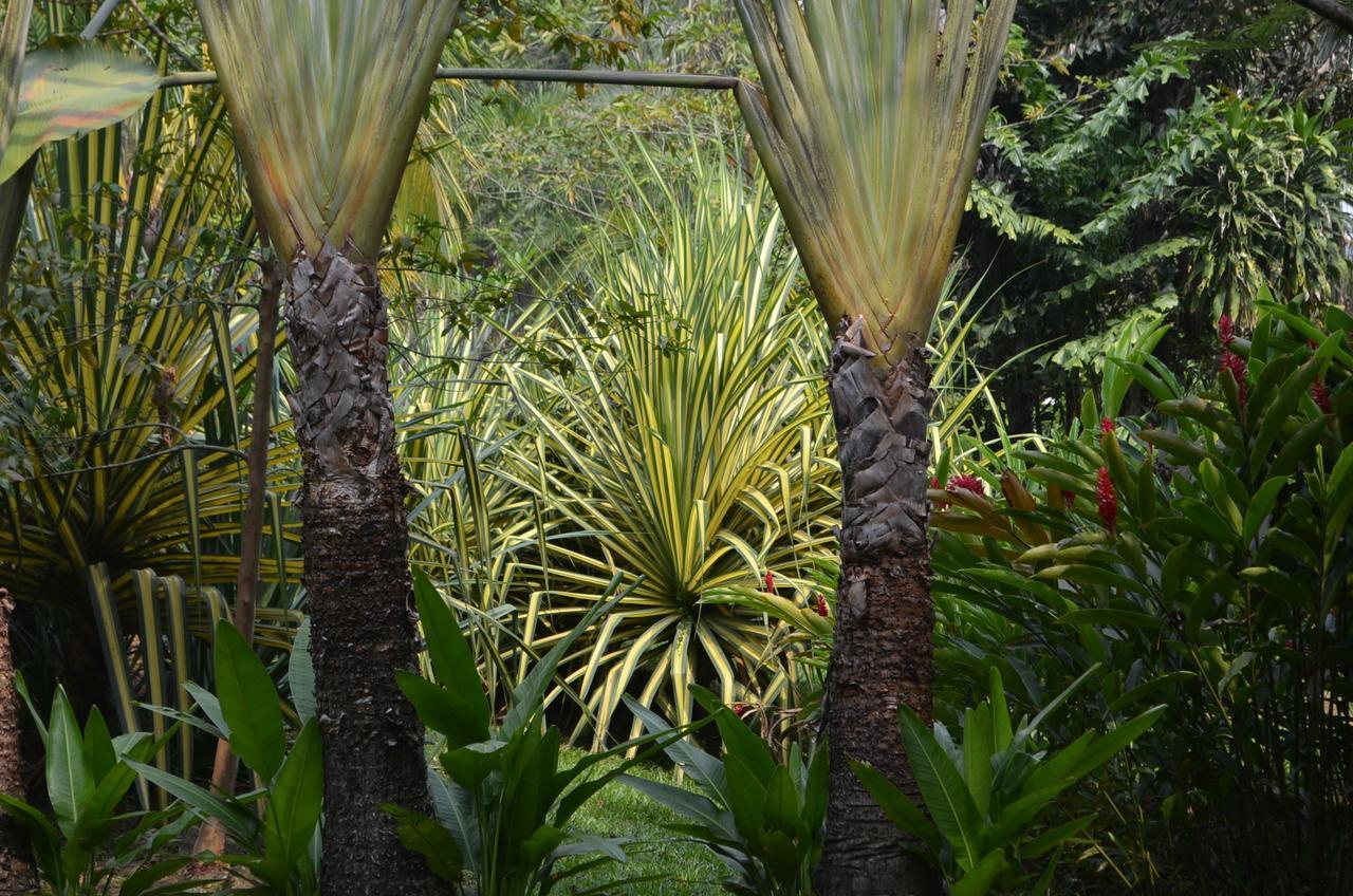 Amanwana Ecofinca Hotel Melgar Exterior photo