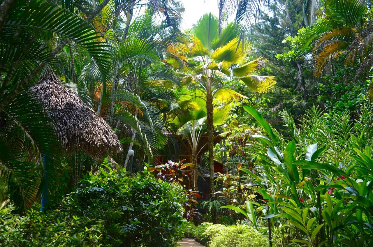 Amanwana Ecofinca Hotel Melgar Exterior photo