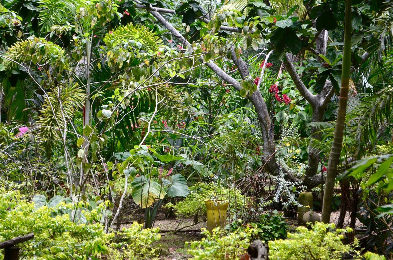 Amanwana Ecofinca Hotel Melgar Exterior photo